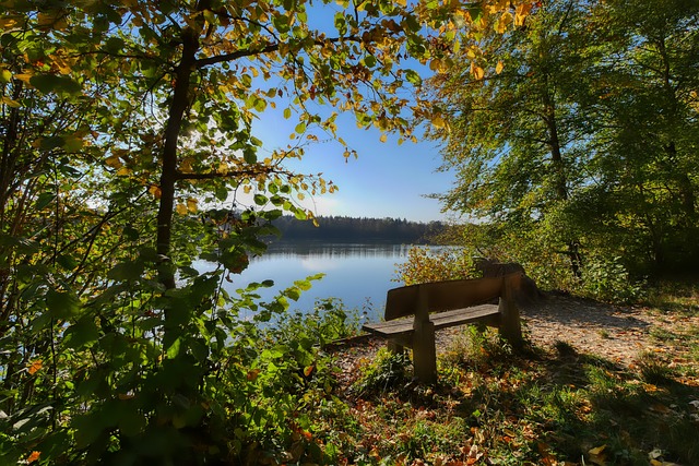 使得他成为 使得他成为